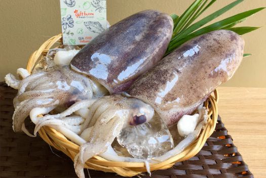 squid-cake-in-Halong-Bay-1